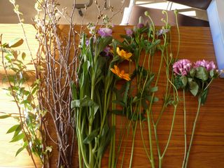 P1020231.JPG