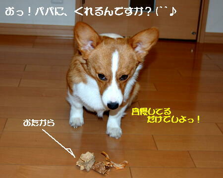 040506.jpg