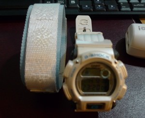 dw8800