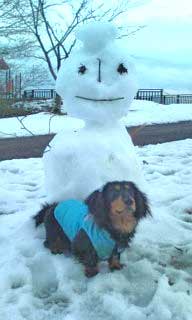 20120207170736.jpg