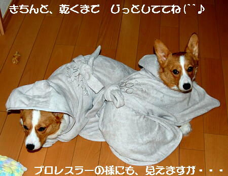022904.jpg