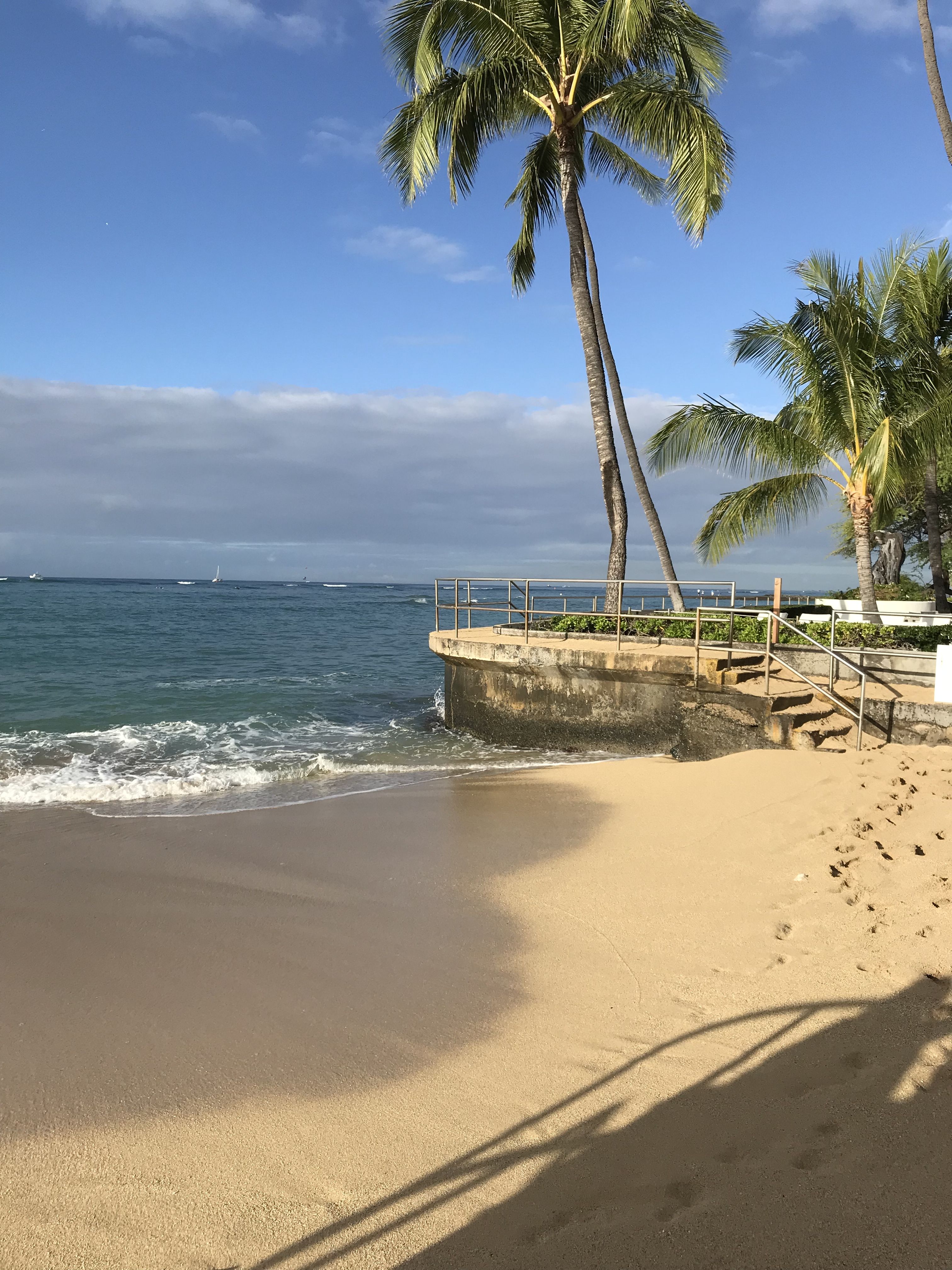 aibo  の  coco‘s home