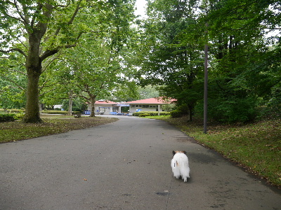 2012昭和記念公園3.JPG
