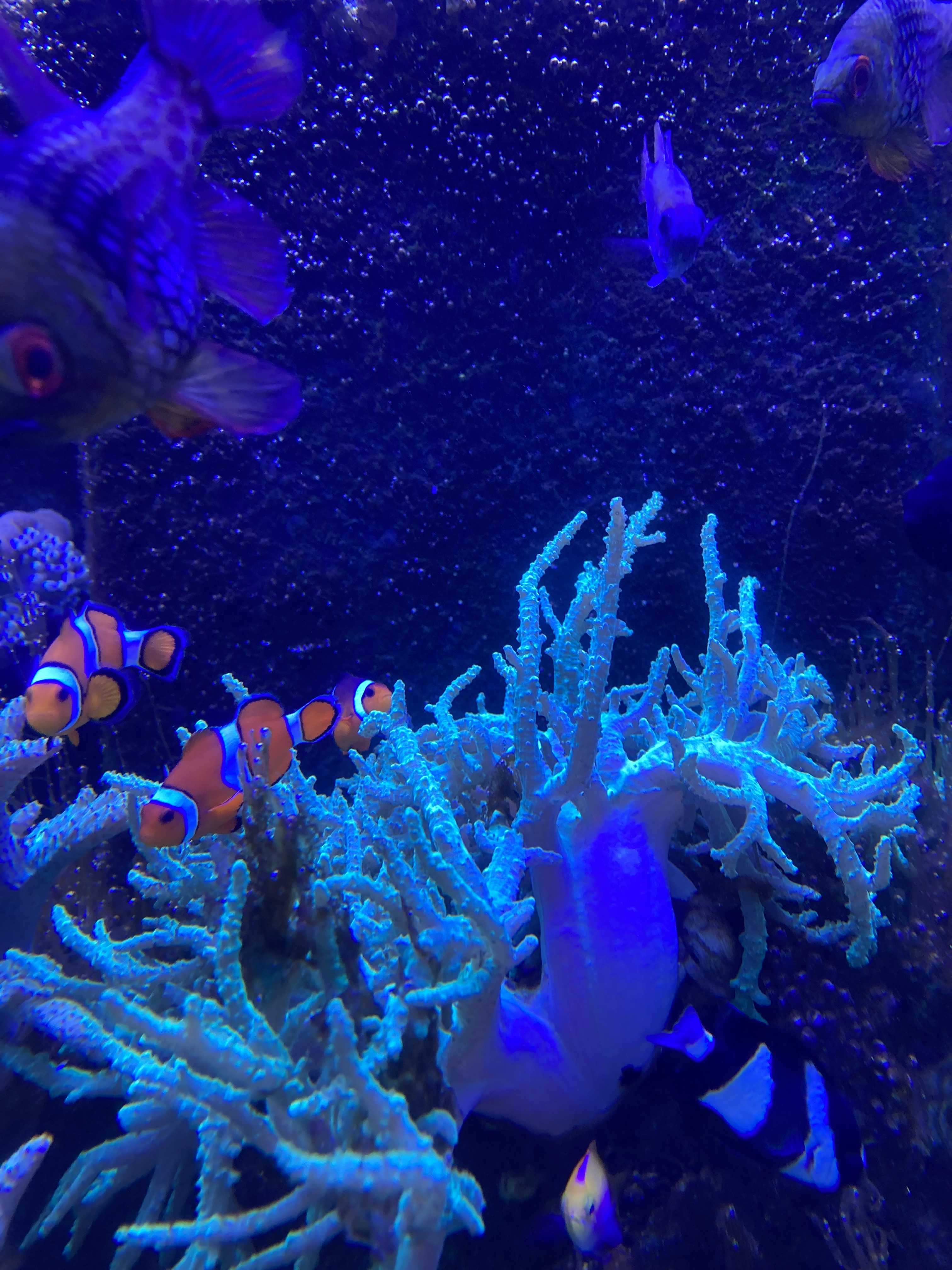 毎日をHappyに🙌