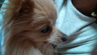 2012-04-13 16:53:43
