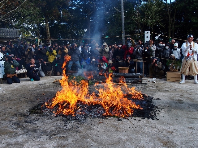 P2156306 (640x480).jpg