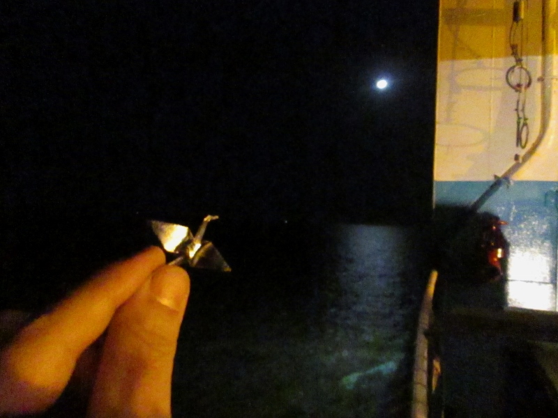 foto mari sano grullas la plata