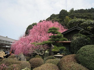 IMG_5417.jpg