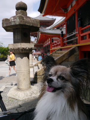 2012京都夏9.JPG