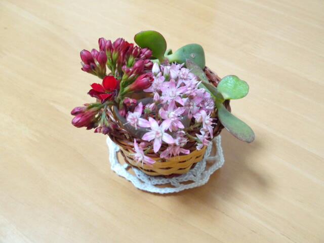 多肉植物の生け花