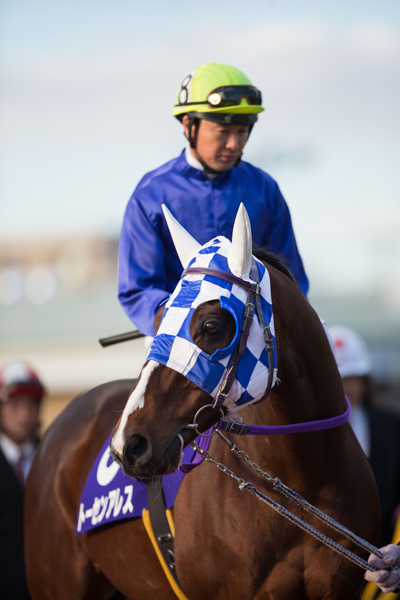 報知グランプリカップは10着でした 酒井忍騎手公式サイト ～ Dettori 楽天ブログ