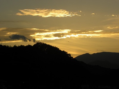 DSCN9565.jpg
