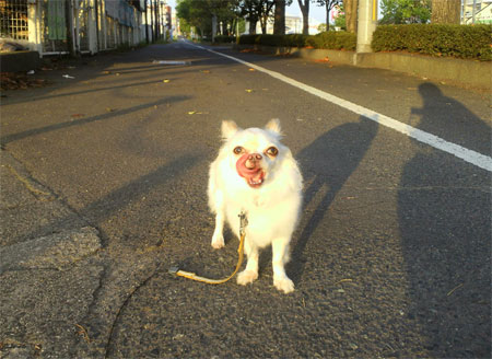 2012.11.16-1.jpg