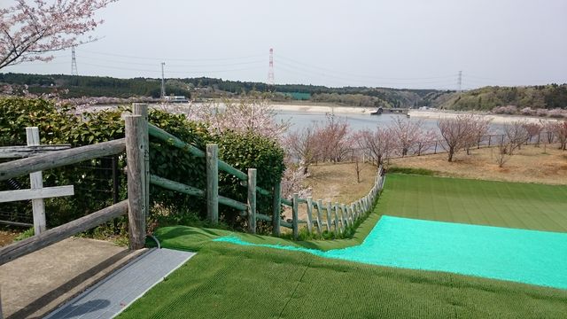 2016-04-10 12.08.50.jpg