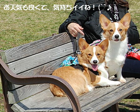 040305.jpg