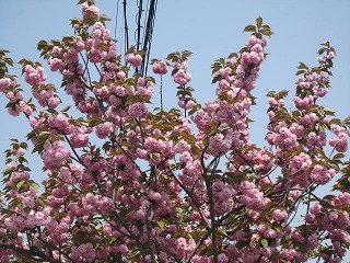 IMG_6388.jpg