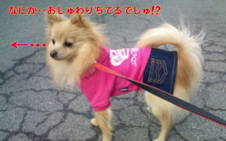 2012-03-03 16:44:52