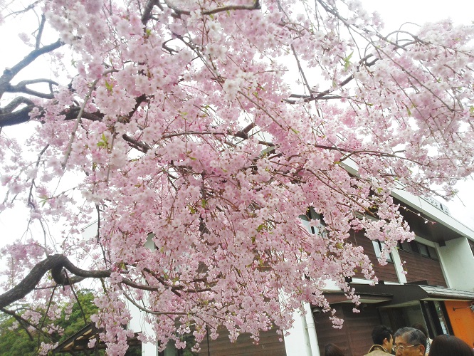 senzokuike4