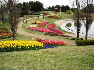 IMG_6004.jpg