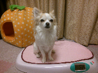 rblog-20130405080800-00.png