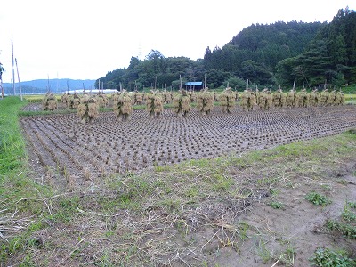 DSCN9262.jpg
