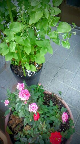 rblog-20160612231618-00.jpg