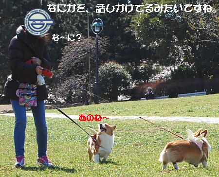 041109.jpg
