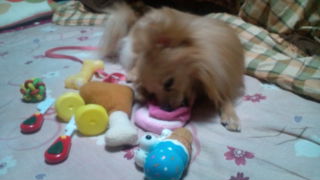 2012-02-23 15:17:44
