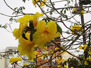 IMG_6633.jpg