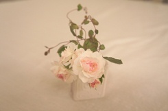 DSC00698.JPG