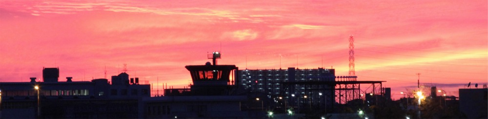 写真　「花のあるネイチャ－　風景　夕陽 航空機 野鳥 天体　自然観察」　徒然日記