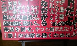 展望11