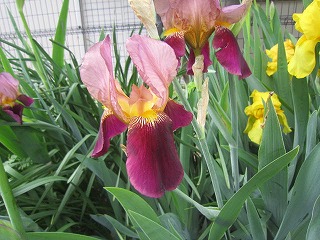 IMG_6840.jpg