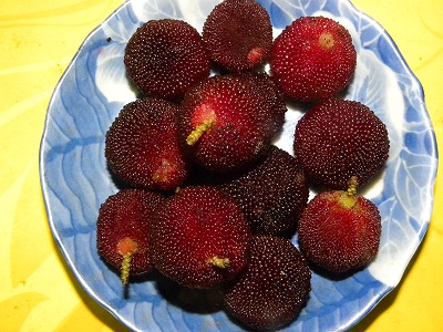 DSCN4397.jpg