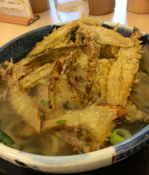 ごぼう天