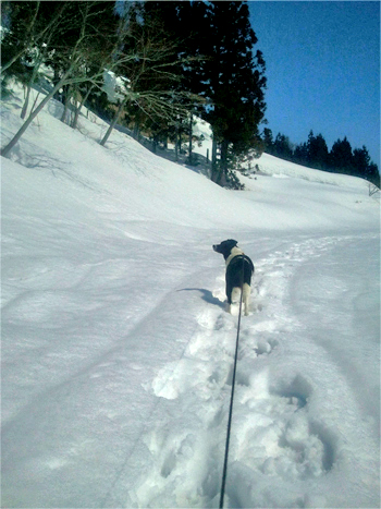 2012-03-29-10-22-21.jpg