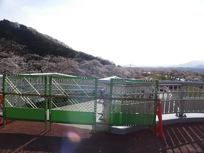 DSCN8170.jpg