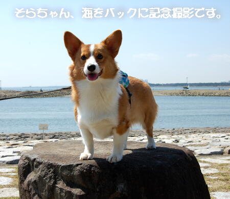 040302.jpg