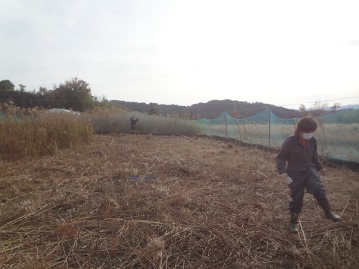 研修生.jpg