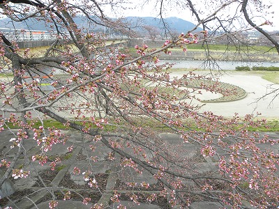 DSCN8096.jpg