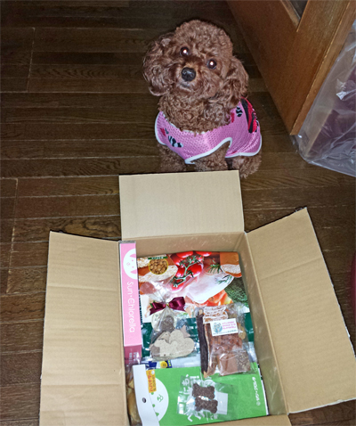 2013.9.8-4.jpg