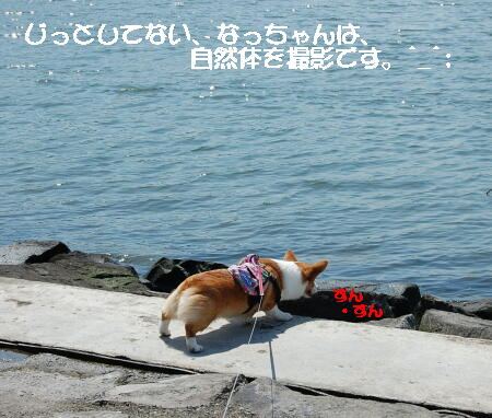 040303.jpg