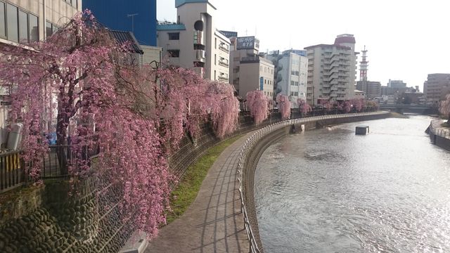 2016-04-08 16.22.52.jpg