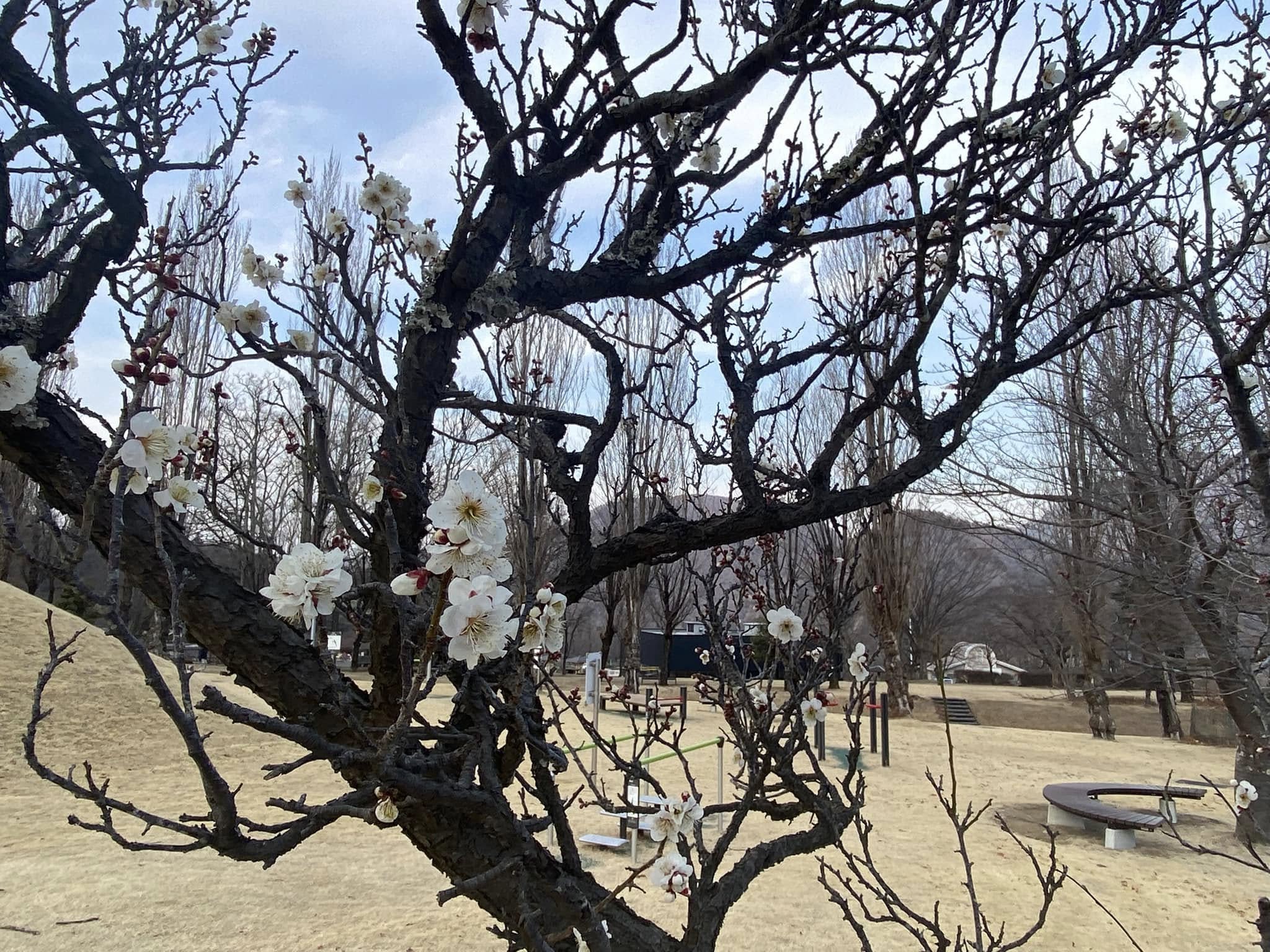 醍醐山と下部（しもべ）温泉