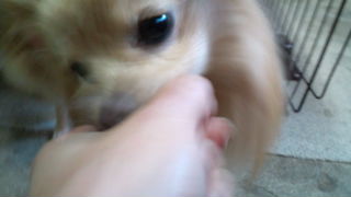 2012-03-05 15:51:45