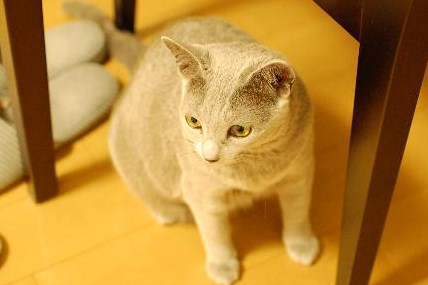 DSC_0748_Vga.JPG