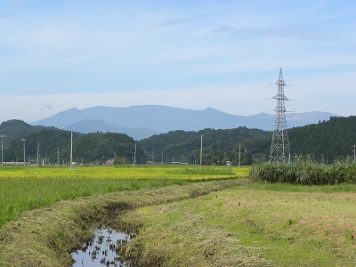 DSCN9259.jpg