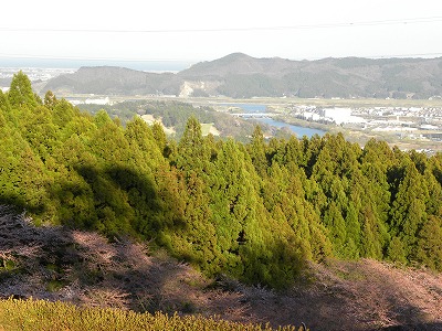DSCN8125.jpg