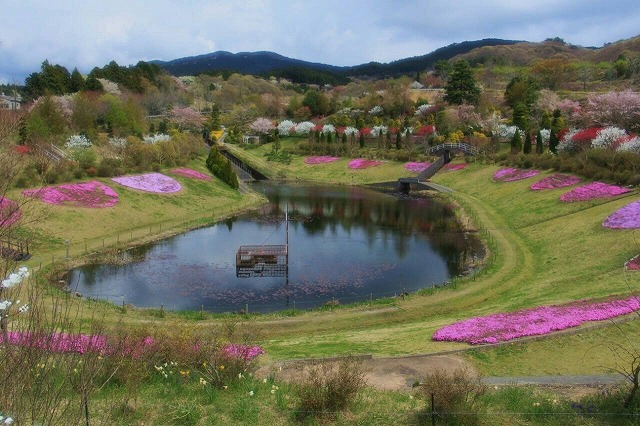 まさに花園 大仁瑞泉郷 フラワーウィーク16 伊東ホテルジュラク Staff Blog 楽天ブログ