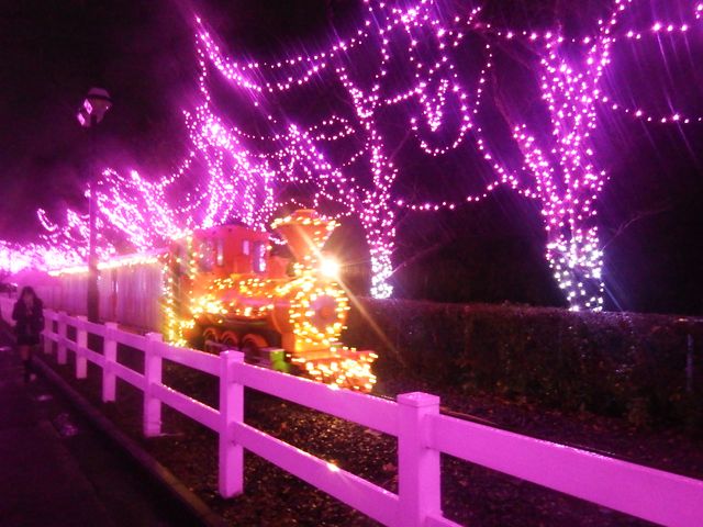DSCF3429.JPG
